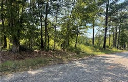 Bethel Road, Pittsview, AL 36871