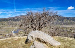 Ridgeview Court, Tehachapi, CA 93561
