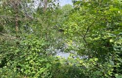 N14396 KRUCKY RD, Fifield, WI 54524