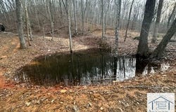 00 TBD Creek Valley Rd, Stuart, VA 24171