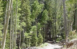 Deer Creek, Mount Charleston, NV 89124