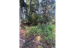 1072 CR 1111, Atlanta, TX 75551