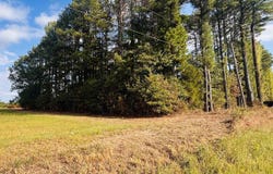 Womack Road, Bald Knob, AR 72010