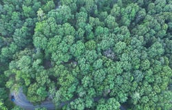 ROLLY RD, MOUNT JACKSON, VA 22842