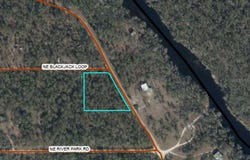 NE TIMBER RIVER Loop, LEE, FL 32059