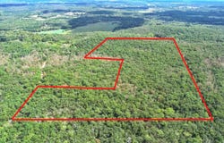 SE 1200 Road, Collins, MO 64738