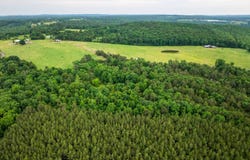 560 Peels Ln, Concord, AR 72523