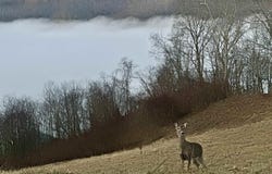 Lakeview Heights, Horner, WV 26372