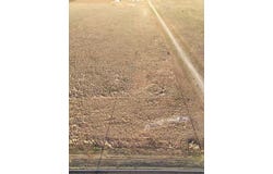 6413 Rockin T Rd, Ropesville, TX 79358