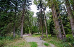 98 Dome Mountain Avenue, Libby, MT 59923