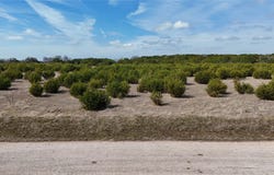 Starfall Dr lot: 42, Lampasas, TX 76550