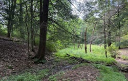 Hatch Run Rd, Warren, PA 16365