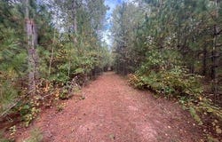8924 Black Brook Road, Webster, WI 54893