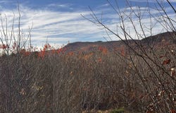 McIntyre Road lot: 7, Dalton, NH 03598
