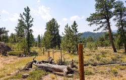 107 Miami Ct, Red Feather Lakes, CO 80545