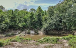 Flynt Road, Laurel, MS 39443
