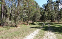 1240 Whitehead Road, Lufkin, TX 75901
