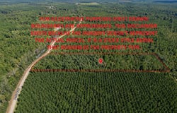Buds Trail, Prentiss, MS 39474