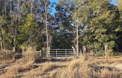 82nd St, Trenton, FL 32693