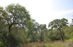 Powder Ridge lot: 66, Luling, TX 78648