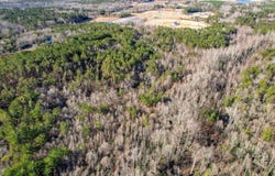 Wrens Highway, Thomson, GA 30824
