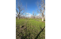 Carter Road, Naylor, GA 31641
