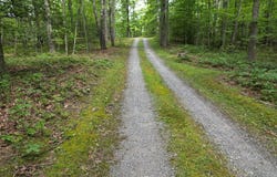 4244 Paynes Mill Road, Bumpass, VA 23024