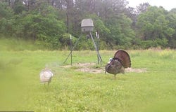 Harry Sones Rd, Carriere, MS 39426