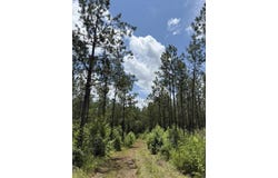Christian Rd, McCormick, SC 29835