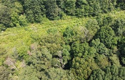 TBD England Road, Canton, NC 28716