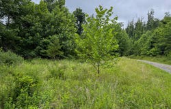 TBD 1 Laurel Heights Drive, Sutton, WV 26601