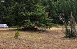 920 BUCK CREEK Rd, Drain, OR 97435