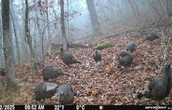 1831 Highway 348, Rudy, AR 72952