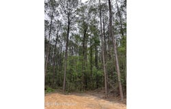 Hwy 49, Brooklyn, MS 39425