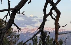 Pine Drive lot: 4, Ridgway, CO 81432