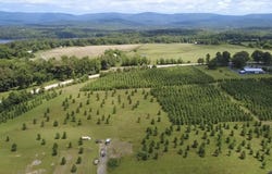 Serenity Ln, Mena, AR 71953