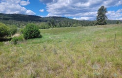 CURLEW Dr, REPUBLIC, WA 99166