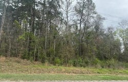 Hwy 55, Andalusia, AL 36420