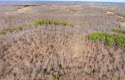 Pleasant Run Rd, Mammoth Spring, AR 72554
