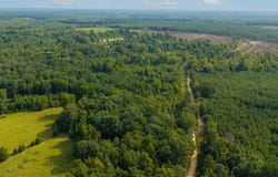 339 Nevada 2, Waldo, AR 71770