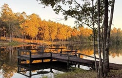 6300 Deer Lake Rd, Walnut Hill, FL 32568