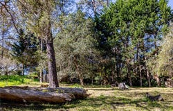 Spencer Street, Cambria, CA 93428