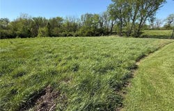 13th Avenue, Lawson, MO 64062