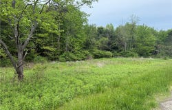 Straw Hill Road, Barton, NY 13734