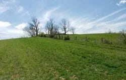 317 Cane Run Road, Carlisle, KY 40311