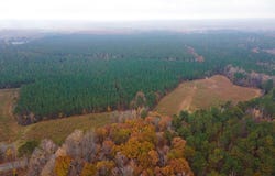 Tract 5 Old Allensville Road, Roxboro, NC 27574