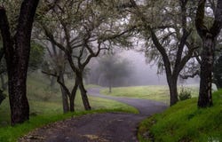 750 Conn Valley Road, St. Helena, CA 94574