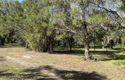 Wiscon Road, Brooksville, FL