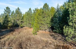 NKA Rivers End Rd, Priest River, ID 83856