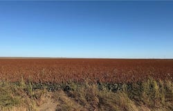 Gray County 24 Road, KS 67841